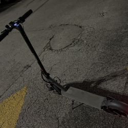 Maxshot Electric Scooter 10" - Used