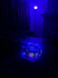 Fishtank coffee Table