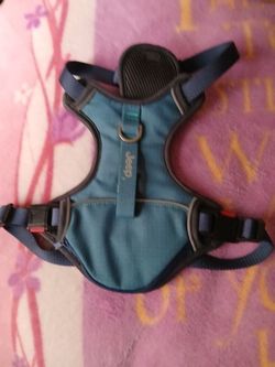 Dogs Jeep Harness 