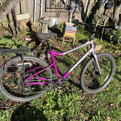 Cannondale Treadwell 2