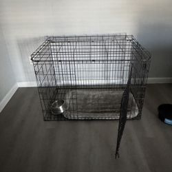 Jaula De Perro
