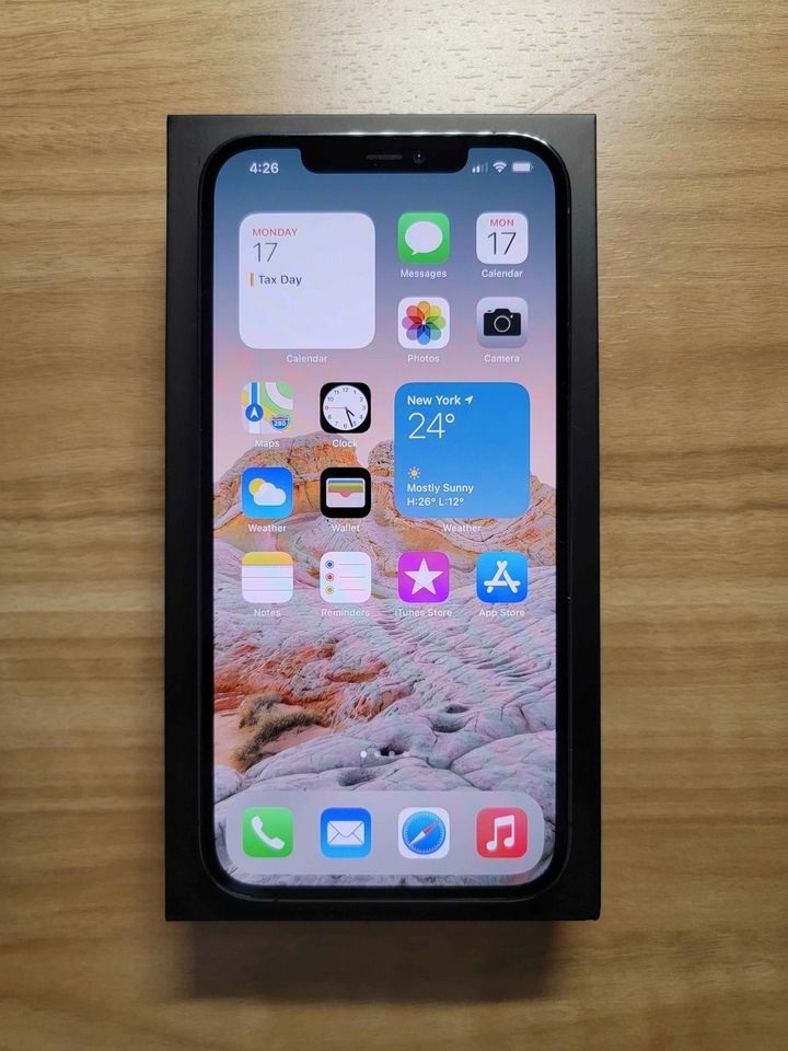 Iphone 12 Pro Max 