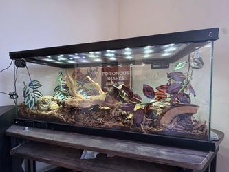 20 gallon reptile tank
