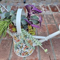 Watering Can Planter