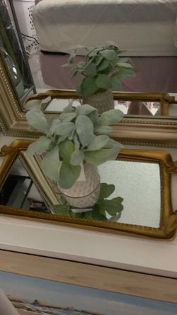 Mirror antique finish tray, canvas