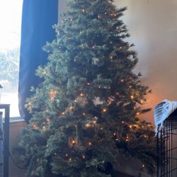 Christmas Tree And Lights