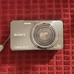 Sony Cyber-Shot DSC-W570 16.1MP 5x Digital Camera - Gray