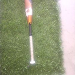 Baseball Bat 