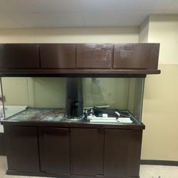 Large, Beautiful Fish Tank With Brown Base 