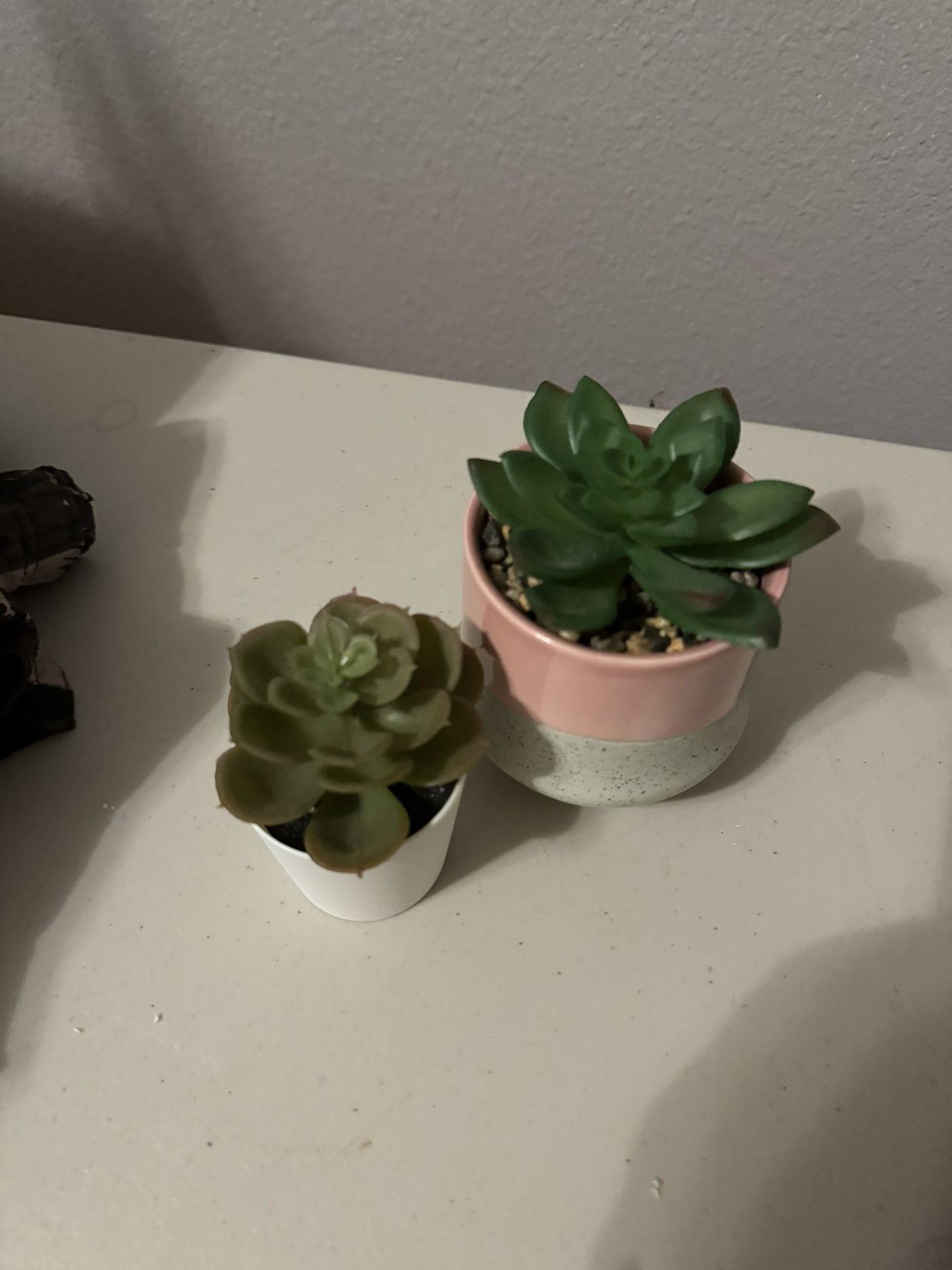 Plastic Succulents