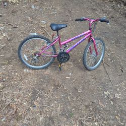 Wanderer Pacific Purple 21 Speed Bike Shimano Equipped Good Condition Needs Tubes And A Hand Grip