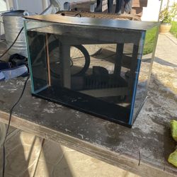 3 Gallon All In 1 Tank