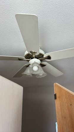 Ceiling Fan