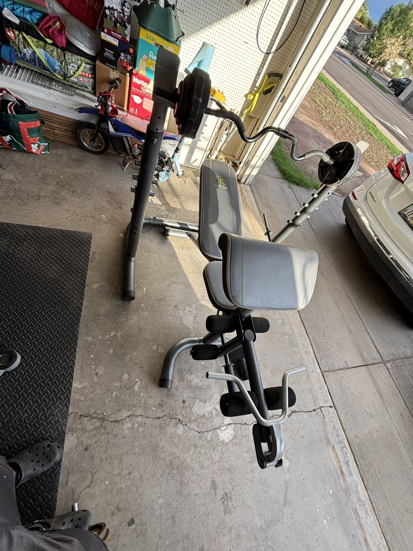 Golds Gym Bench With Curl Bar