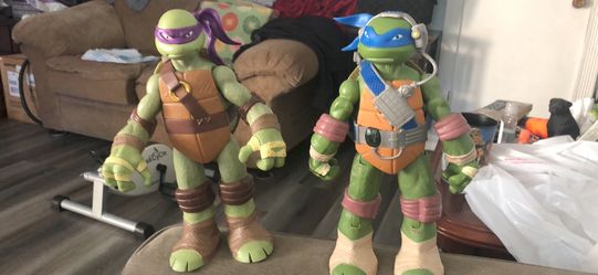 Leonardo and Donatello