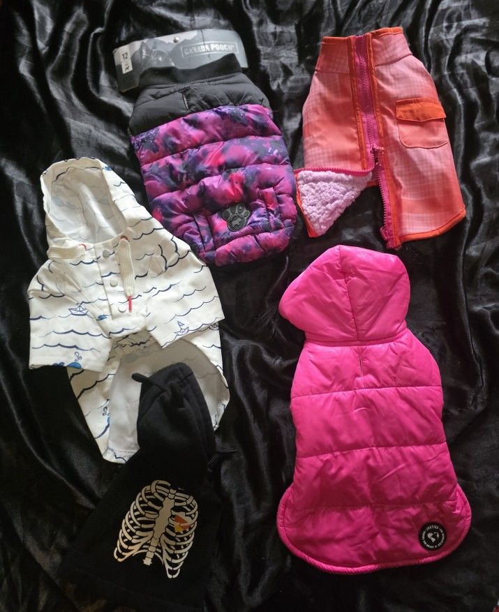 Female Dog Clothes Size Xx-small