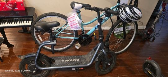 Electric scooter bike