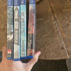 PS4 Sim Games