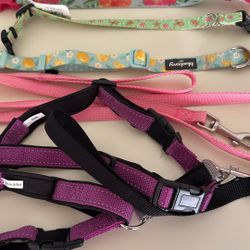 Miscellaneous Dog Collars/leash/harness
