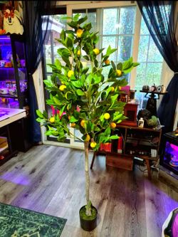 Fake Lemon Tree 🍋
