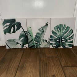 Set of three framed canvas wall art prints & 2 Strings Artificial Ivy Money Plants Leafs Creepers