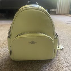 Coach Backpack Mint Green Small 