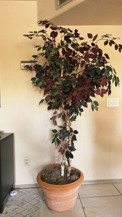 Faux Tree In Terracotta Pot