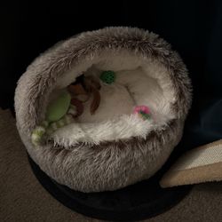 Never Used Cat Bed