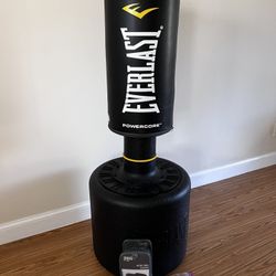 EVERLAST PUNCHING BAG AND GLOVES