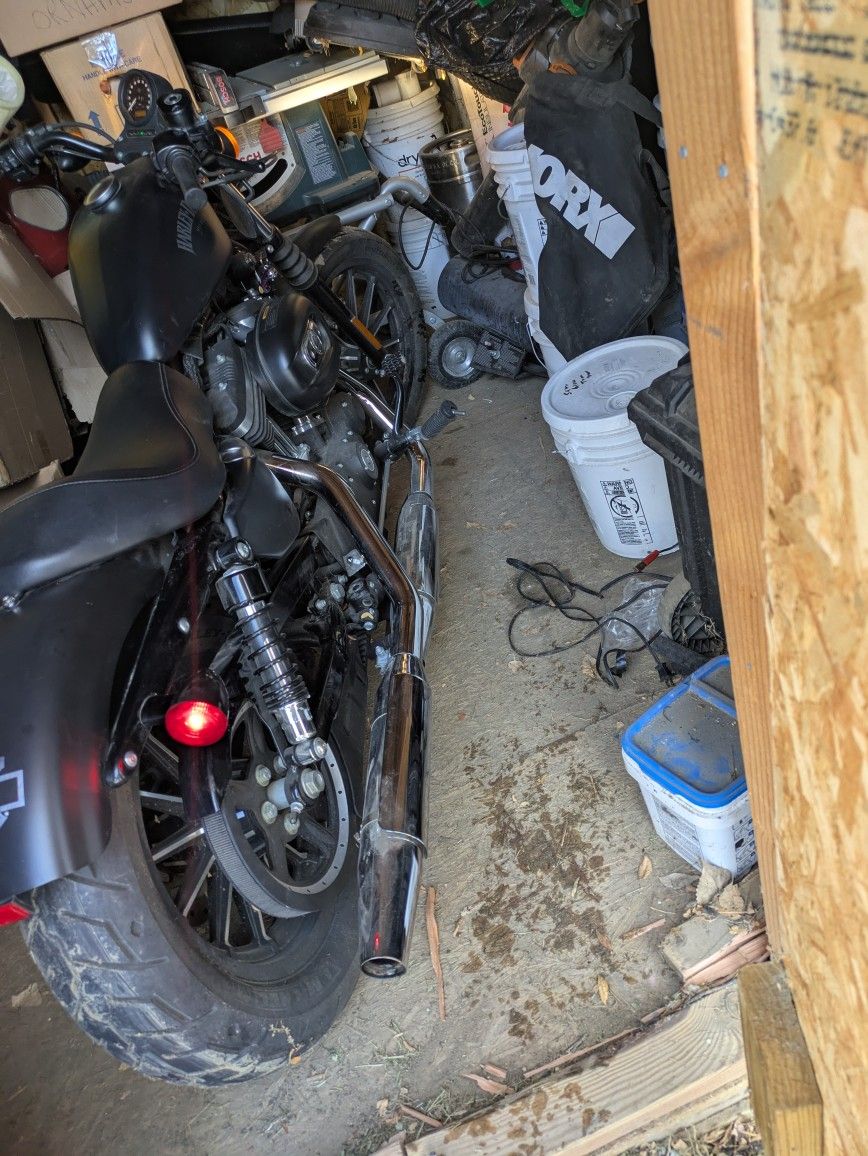 Harley-Davidson Sportster Low Miles