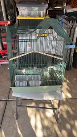 Bird Cage