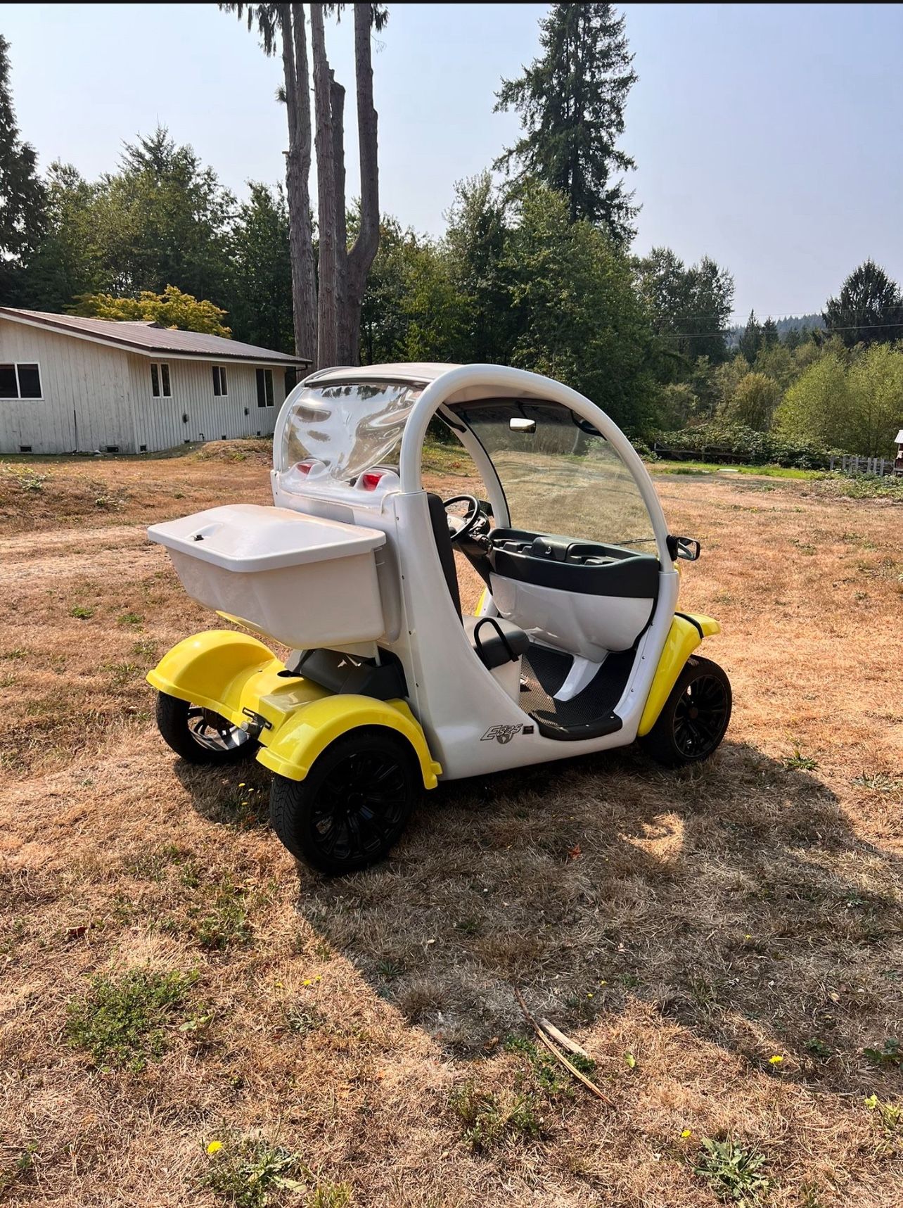 Gem Golf Cart