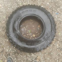 Big Horn Max is Tire