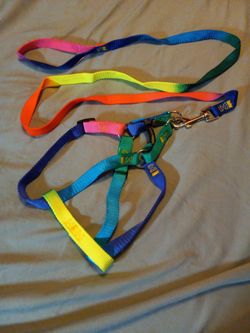 Rainbow Adjustable Harness With Leash; Size S/M