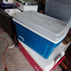 Thermos 34 Cooler 