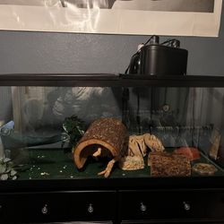Reptile Tanks