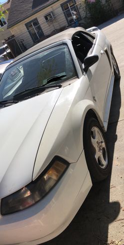 Mustang Convertible 2003