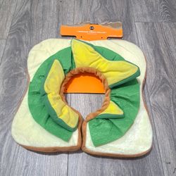 Pet Costume