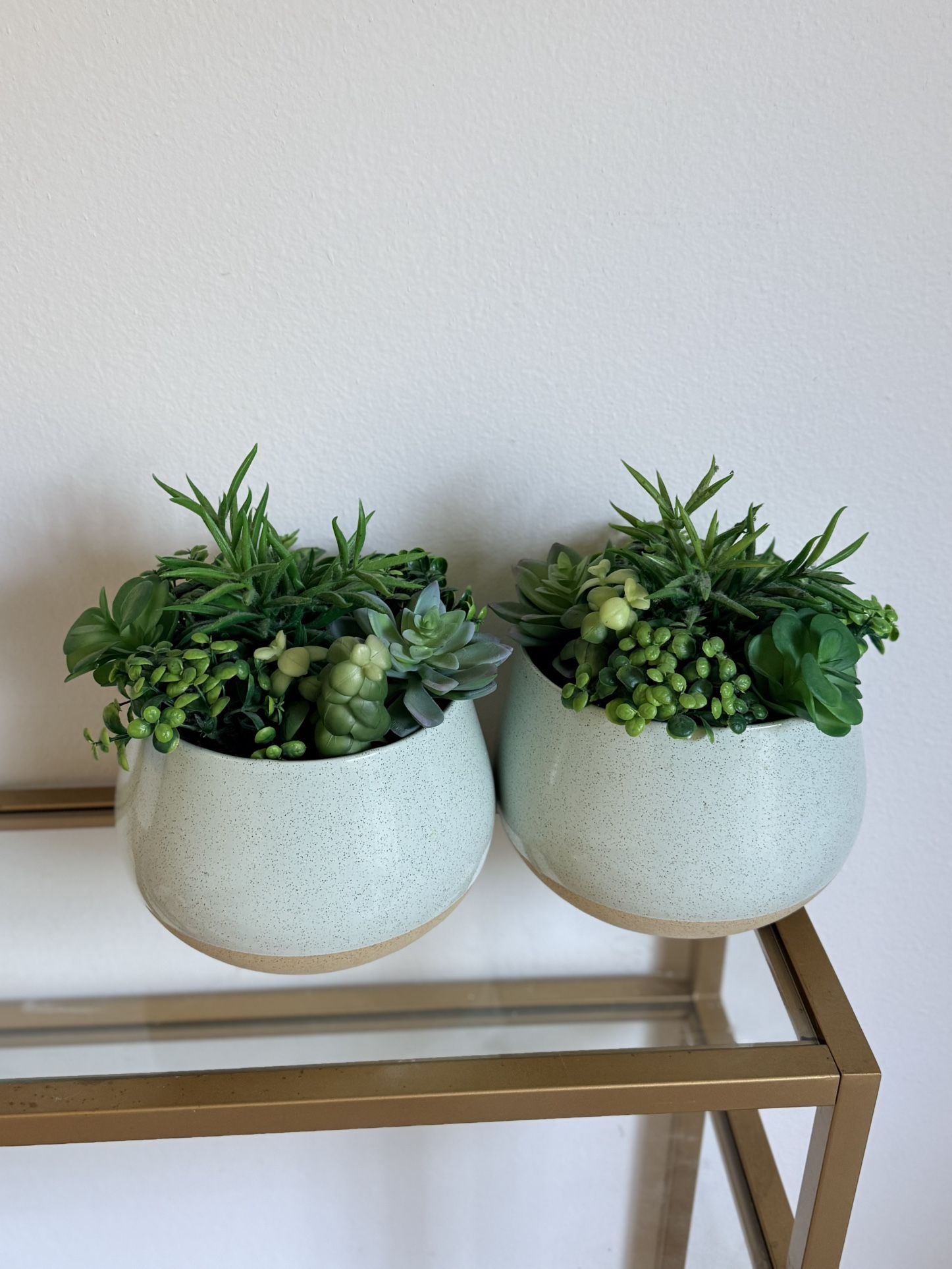 2 faux succulent plants in vase