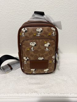 COACH SNOOPY