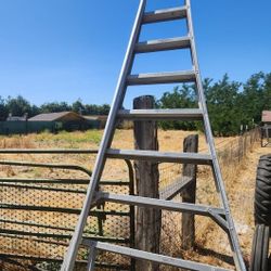 Fruit Ladder
