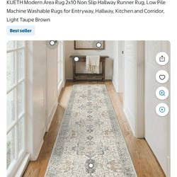 Entry Hall Way Rug