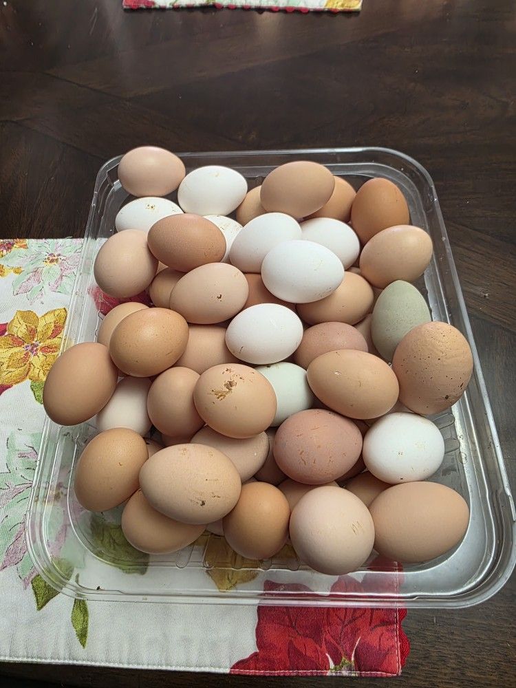 Fresh Farm Eggs - Unwashed