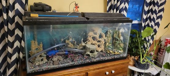 Aquarium And Accessories