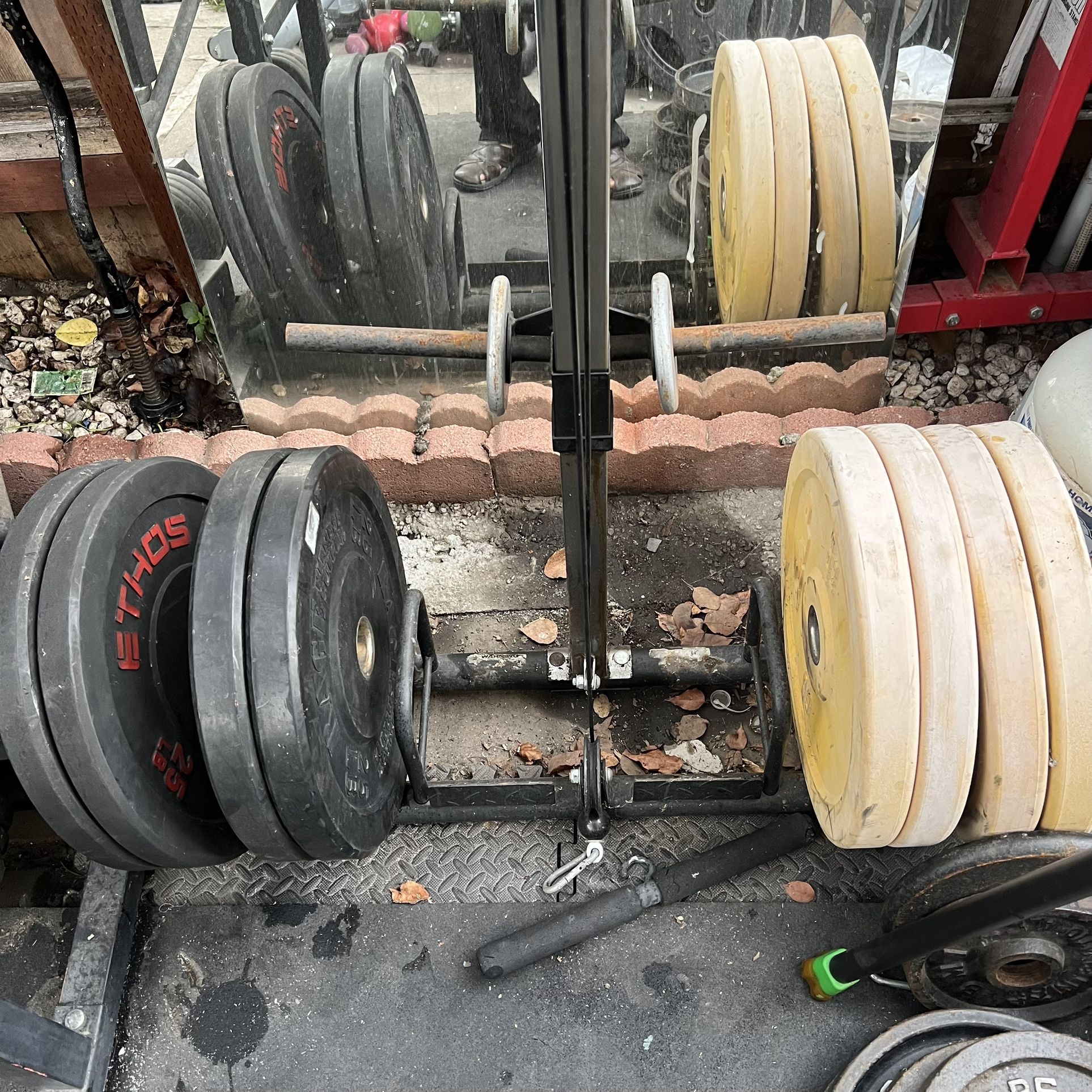 Used 25LB bumper plates