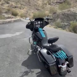 2019 Harley Davidson Street Glide Flhx