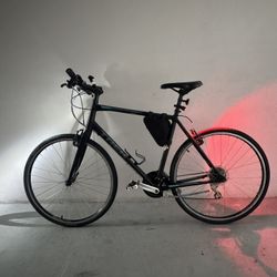 Trek Bike
