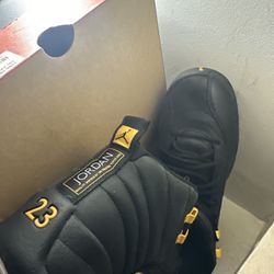 Black Taxi Jordan 12