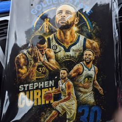 Stephen Curry Canvas Wall Art