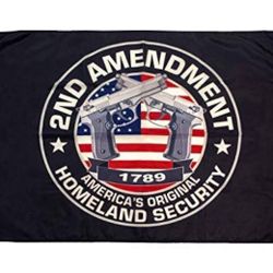 2nd Amendment Flag( TemeculaflagsUSA Version)